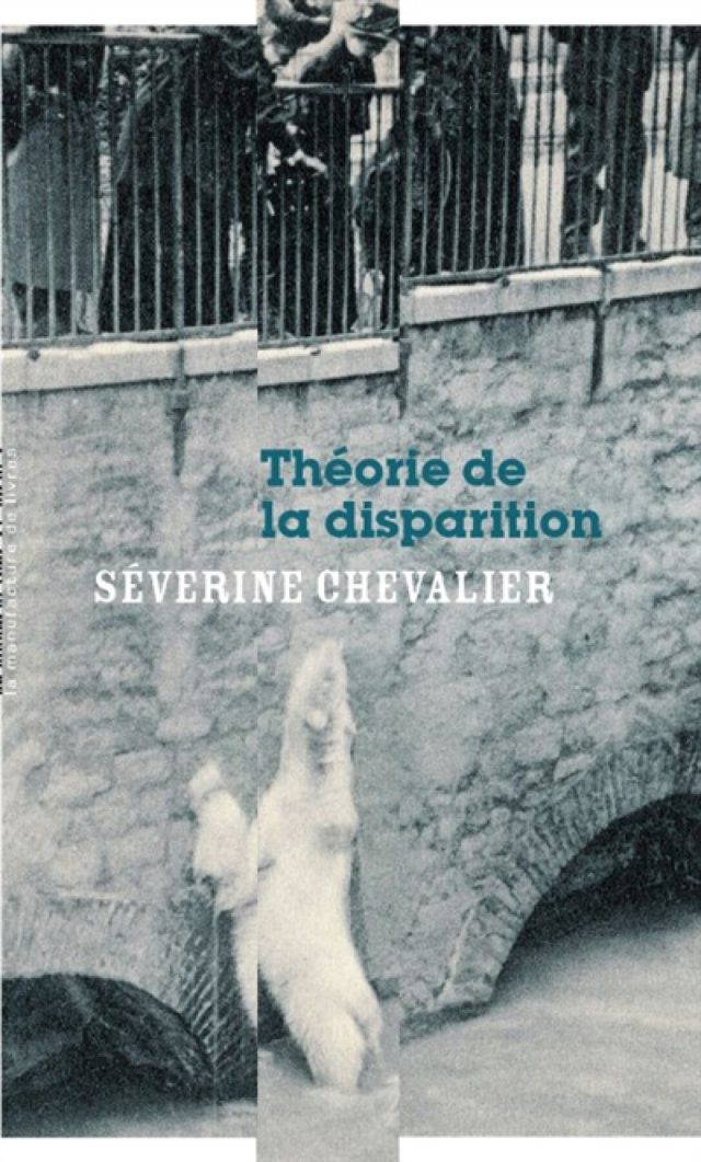 couverture de Théorie de la disparition, de Séverine Chevalier